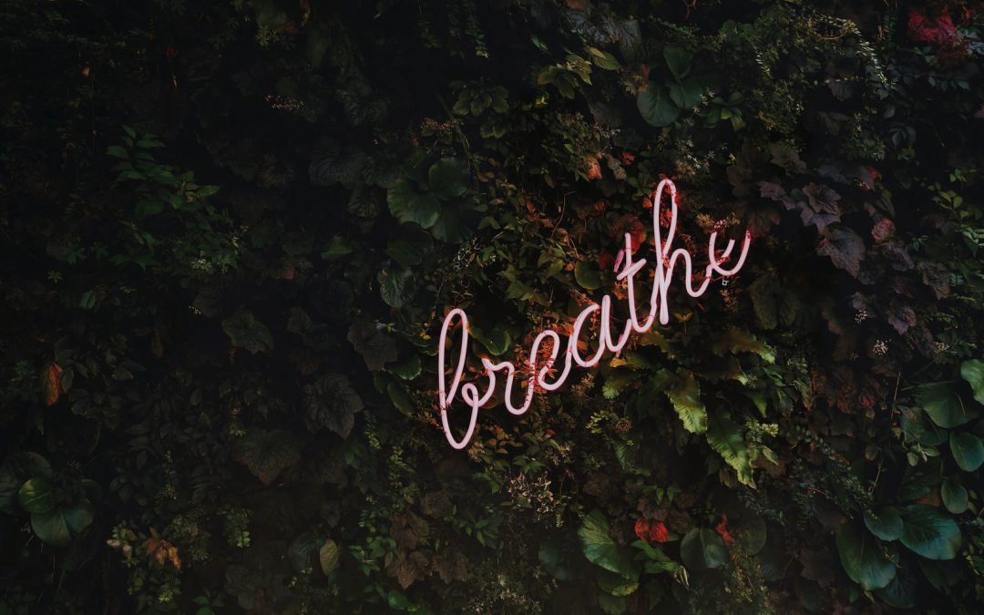 Simple steps to Calm Down